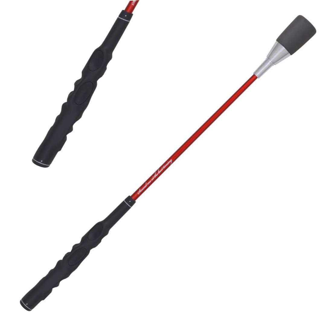 ダイヤゴルフ(DAIYA GOLF) ゴルフ練習器 ダイヤスイング535 TR-535