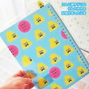 【セール期間中50%OFF!】 うんこ漢字ドリル うんこ先生 B5したじき 定規付き!