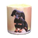 犬 ミニチュアダックス トイレットペーパー 100個入 ばらまき 販促用 イベント 景品 パーティー 町内会 老人会 子供会 ディスプレイ 動物 かわいい ワンちゃん 【代金引換できません】 【メーカー直送品】(3)