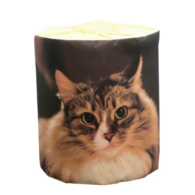 ねこ　ノルウェージャン　トイレットペーパー　100個入　　ばらまき　販促用　イベント　景品　パーテ..