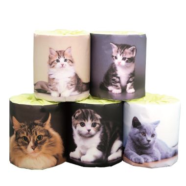 猫　5種　アソートトイレットペーパー　100個　ばらまき　販促用　イベント　景品　パーティー　町内会..