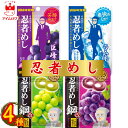 お菓子 詰め合わせ UHA味覚糖 忍者メシ 巨峰 ラムネ 鋼 グレープ 鋼 マスカット 4種セット 各1袋 グミ スイーツ 駄菓子 まとめ買い アソートセット 買い置き ストック 子供 大人 子供会 遠足 リフレッシュ