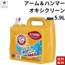 母の日 洗濯用 漂白剤 アーム＆ハンマー オキシクリーン 5.9L 送料無料