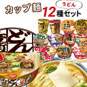 カップ麺 詰め合わせ 箱買い 福袋 カップラーメン 箱 まとめ買い レトルト食品 常温保存 インスタントラーメン ご当地 ご当地ラーメン カップうどん 12種セ...