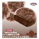 お菓子 詰め合わせ 子供 個包装 送料無料 駄菓子 まとめ買い プチギフト カントリーマアム チョコまみれ チョコレート 50枚 不二家 fujiya あす楽 ギフト ミドルパック 小分け チョコ 食品 試食