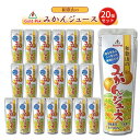 シャーベット ジェラート アイスクリーム ジュース 詰め合わせ プレゼント スイーツ プチギフト フルーツシャーベット 凍らせて食べる ソルベ ゴールドパック 和歌山のみかんジュース ケース売り 20個セット パウチ 果実 お菓子 詰め合わせ 駄菓子 送料無料