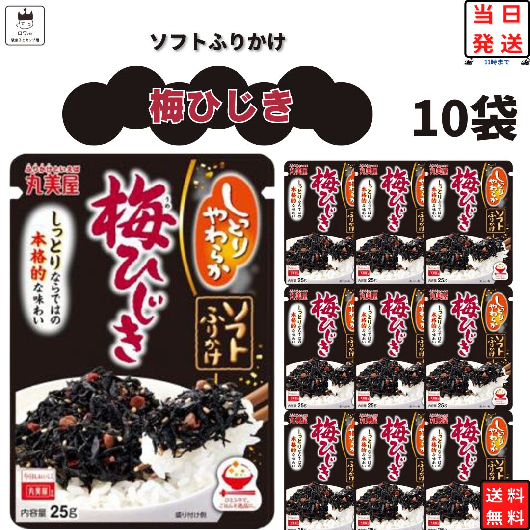 母の日 丸美屋 ふりかけ ソフトふりかけ 梅ひじき まとめ買い 10袋セット あす楽 ギフト ランチ ピクニック 遠足 幼稚園 子供 チャック袋 ギフト 業務用 仕送り お弁当 プチギフト ごはん 朝食 昼食 送料無料