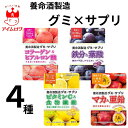 養命酒製造 グミサプリ 4種 鉄分&葉酸 ビタミンC&食物繊維 マカ&亜鉛 コラーゲン&ヒアルロン酸 グミ サプリメント プルーン味 レモンピール風味 パッションフルーツ味 ピーチ味 健康 栄養 美肌 元気