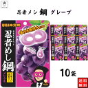 お菓子 まとめ買い UHA味覚糖 忍者メシ 鋼 グレープ味 45g 10袋 セット 送料無料 グミ スイーツ 駄菓子 おやつ 薄くて硬い ハードグミ アソートセット 大人のおやつ 小腹 グミキャンディ お試し 小袋 お菓子 おやつ 子供 遠足 学