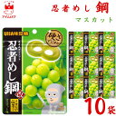 お菓子 まとめ買い UHA味覚糖 忍者メシ 鋼 マスカット味 50g 10袋 セット 送料無料 グミ スイーツ 駄菓子 おやつ 薄くて硬い ハードグミ アソートセット 大人のおやつ 小腹 グミキャンディ お試し 小袋 お菓子 おやつ 子供 遠足 学童
