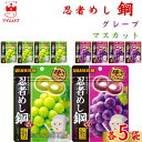 お菓子 まとめ買い UHA味覚糖 忍者メシ 鋼 グレープ味 マスカット味 45g 各5袋 セット 送料無料 グミ スイーツ 駄菓子 おやつ 薄くて硬い ハードグミ アソートセット 大人のおやつ 小腹 グミキャンディ お試し 小袋 お菓子 おや