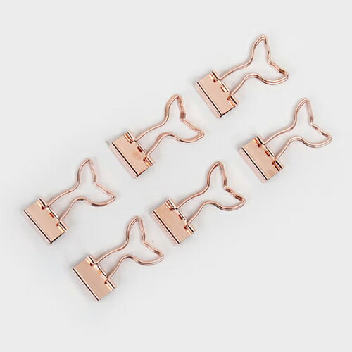 å ơʥ꡼ ʸ˼ ̳ ڹ  ƥꥢ İ  ե ǥʸ ڹ ϥ󥰥 ڡѡå