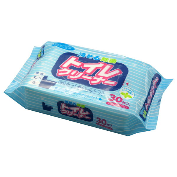 大和物産 CC 流せる除菌トイレクリーナー 30枚入