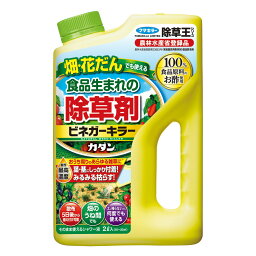 フマキラー カダン 除草王 ビネガーキラー 2L