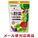 ハイポネックスジャパン 今日から野菜 野菜の肥料 300g(2個までメール便対応)