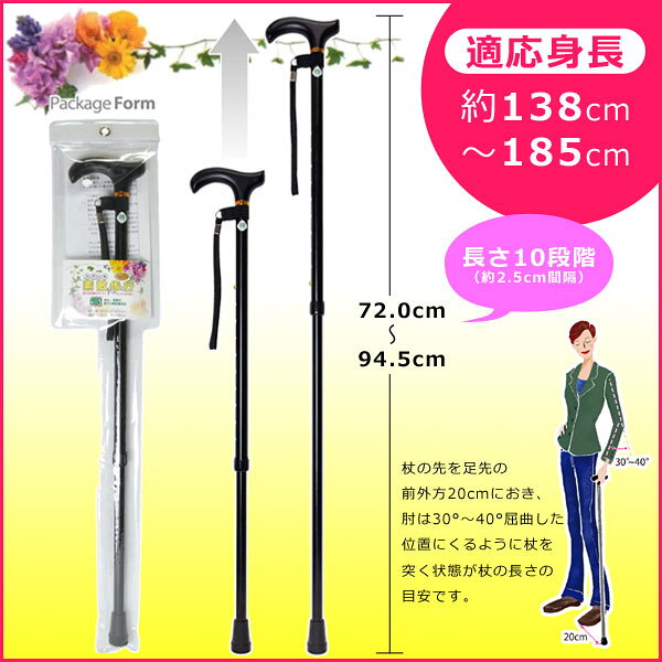 ���襴��1�Ĥ��ޤ��ۥޥå����ե����ȥ꡼ �� ���顼���ƥå� 10�ʳ�Ĵ�� 181