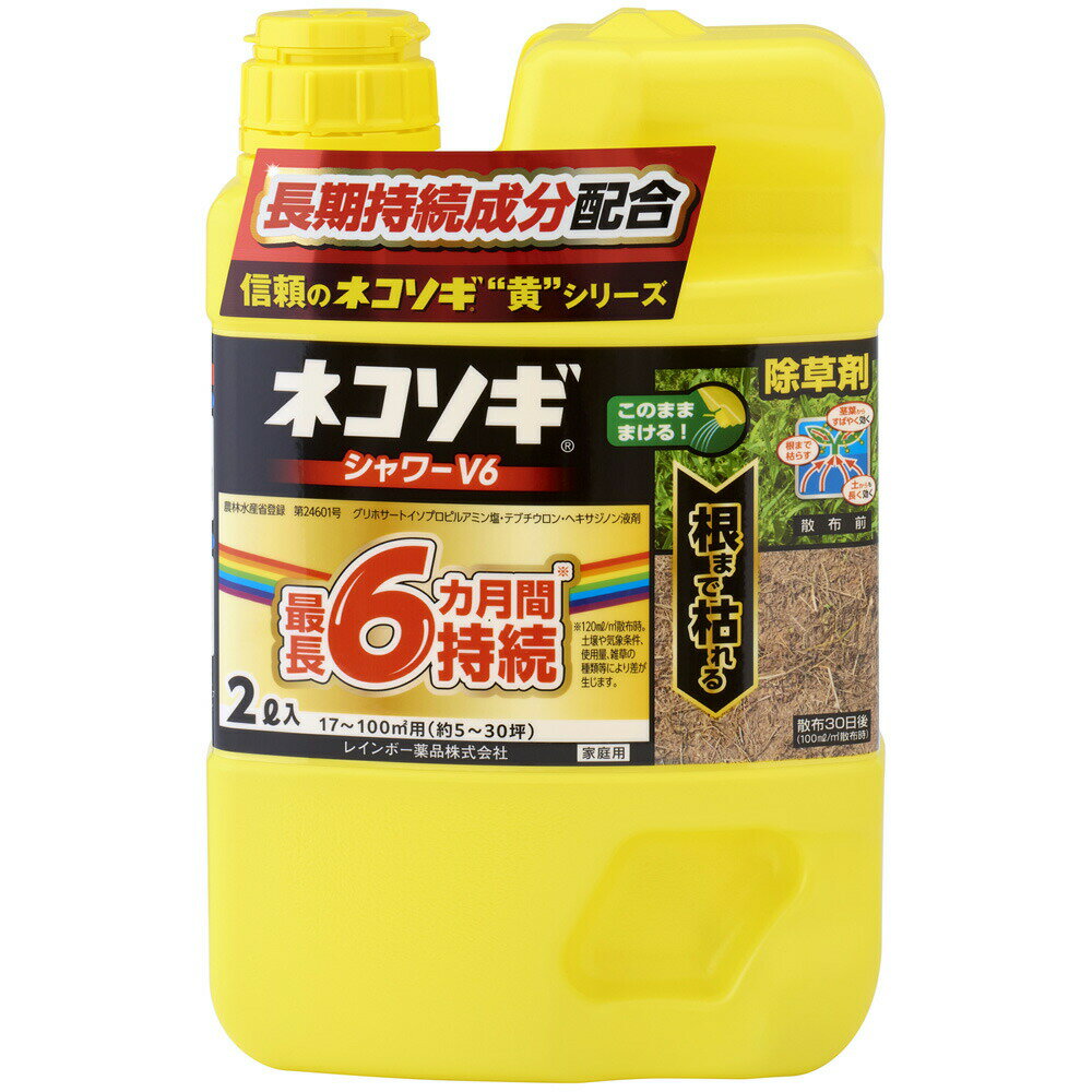 レインボー薬品 ネコソギシャワーV6 2L 1