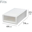 天馬 Fits フィッツケース アドバン