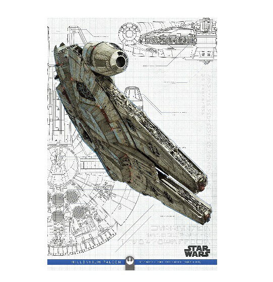 Rakuten - スターウォーズ STAR WARS / スカイウォーカーの夜明け 3Dポストカード IJ-72