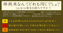 雑穀 雑穀米 国産 胡麻香る十穀米 27kg(450g×60袋) 無添加 無着色 業務用サイズ 送料無料 ダイエット食品 置き換えダイエット 2