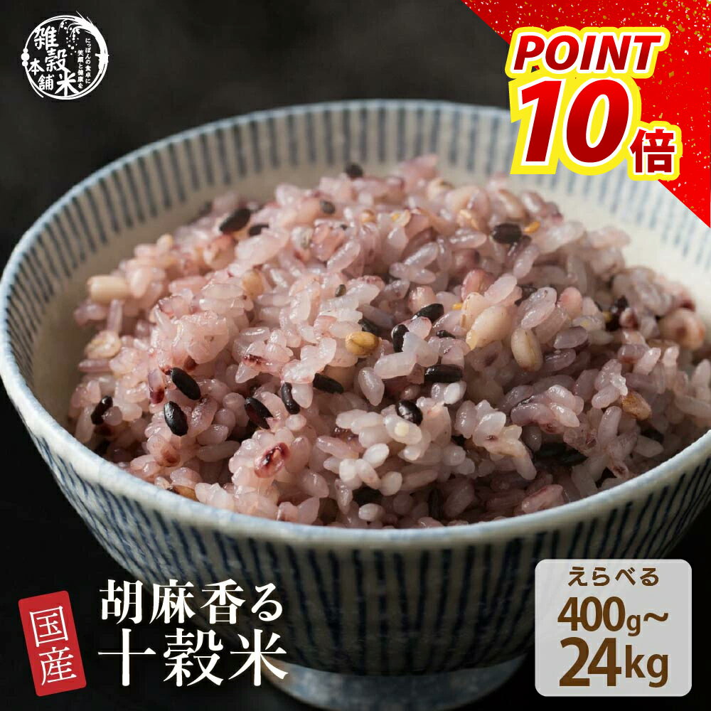 雑穀 雑穀米 国産 胡麻香る十穀米 