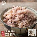\月末月初SALE/雑穀 雑穀米 国産 栄養満点23穀米 【内容量が選べる400g~24kg】 無添加 無着色 定番サイズ 送料無料 ダイエット食品 置き換えダ...