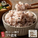 \月末月初SALE/雑穀 雑穀米 国産 明日への輝き39穀米ブレンド【内容量が選べる400g~24kg】お試しサイズ 無添加 無着色 送料無料 ポスト投函 ダイ...