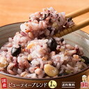 ＼週末セール／雑穀 雑穀米 国産 美容重視ビューティーブレンド 1kg(500g×2袋) 無添加 無着色 定番サイズ 送料無料 ポスト投函 条件付きプレゼント有り ダイエット食品 置き換えダイエット