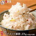 雑穀 雑穀米 糖質制限 究極のダイエット雑穀 27kg(450g×60袋) 業務用サイズ 送料無料 ダイエット食品 置き換えダイエット