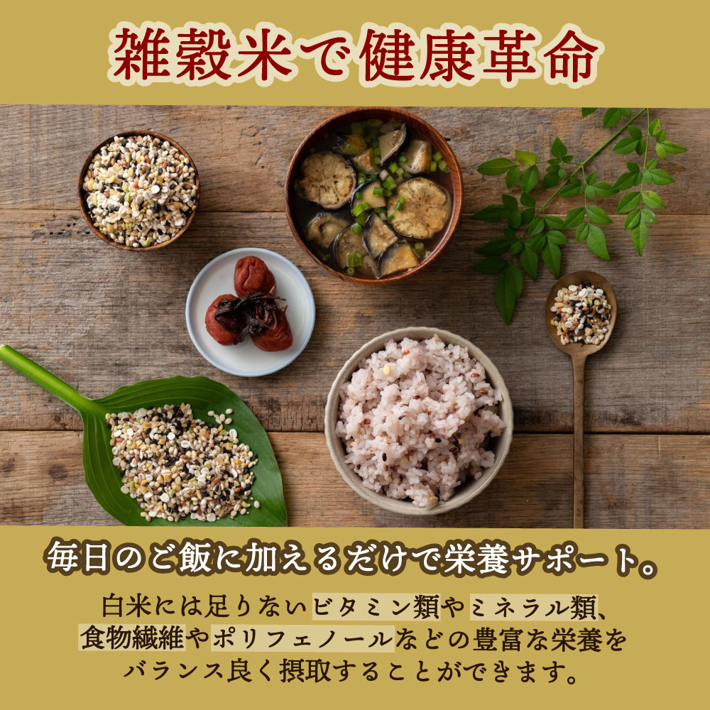 【マラソン限定！ポイント2倍！学割5倍！】ご飯パック ごはんパック 玄米 オーサワの有機発芽玄米ごはん 160g 6個セット 送料無料