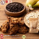 オートミールクッキー(チョコバナナ) 【100g×1袋】※割れ欠けあり | 小麦不使用 低GI 低糖質 糖質制限 小腹サポート 食物繊維 雑穀スイーツ