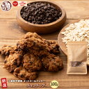オートミールクッキー(チョコチップ) 【100g×1袋】※割れ欠けあり | 小麦不使用 低GI 低糖質 糖質制限 小腹サポート 食物繊維 雑穀スイーツ