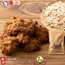 オートミールクッキー(プレーン) 【1kg(100g×10袋)】※割れ欠けあり | 小麦不使用 低GI 低糖質 糖質制限 小腹サポート 食物繊維 雑穀スイーツ