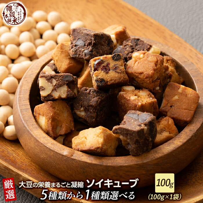 【1種類 選べる】ソイキューブ 100g | (チョコくるみ