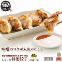 \GW連休SALE/だるま印の冷凍餃子 60個 【濃い味】 醤油なしで食べれる コク深い隠し味噌 静岡の人気店「SHIRUSHI」の特製餃子(30個入り×2袋)...
