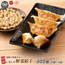 肉不使用 【大豆ミート】餃子 300個(30個×10袋) ヘルシーおかず 大豆 ソイ餃子 ギルティフリー ビーガン ベジタリアン 野菜餃子 低脂肪 高たんぱく質