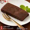 米粉で作ったガトーショコラ 5本入(45g×5本) グルテンフリー しっとり食感 小麦粉不使用 個包装 小分けパック ビター チョコレート 送料無料 ポスト投函 プチギフト 焼菓子 スイーツ ヘルシー