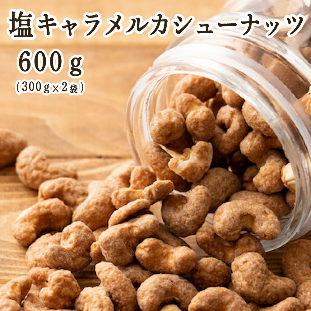 塩キャラメル・カシューナッツ 600g(300g×2袋) カシューナッツ 小腹サポート おやつ 食べきりサイズ チャック付き 送料無料 ポスト投函 プチギフト