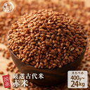 \月末月初SALE/雑穀 雑穀米 国産 赤米 【内容量が選べる400g~24kg】定番サイズ 無添加 無着色 送料無料 古代米 あかまい ダイエット食品 置き換...
