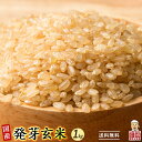 雑穀 雑穀米 国産 発芽玄米 1kg(500g×2袋) 定番サイズ 無添加 無着色 送料無料 ダイエット食品 置き換えダイエット