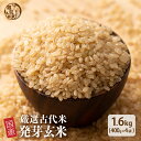 雑穀 雑穀米 国産 発芽玄米 1.6kg(400g×4袋) 人気サイズ 無添加 無着色 送料無料 ダイエット食品 置き換えダイエット