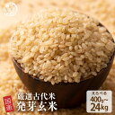 \月末月初SALE/雑穀 雑穀米 国産 発芽玄米 【内容量が選べる400g~24kg】お試しサイズ 無添加 無着色 送料無料 ダイエット食品 置き換えダイエット