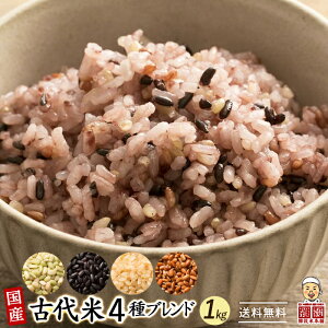 ＼5のつく日×大感謝祭／雑穀 雑穀米 国産 古代米4種ブレンド 1kg(500g×2袋) [黒米/赤米/緑米/発芽玄米] 無添加 無着色 定番サイズ 送料無料 ポスト投函 条件付きプレゼント有り ダイエット食品 置き換えダイエット