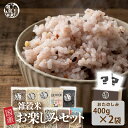 【2025年 福袋】雑穀お楽しみセット 人気の雑穀米がどっさり800g(400g×2袋) 何が入っているかはお楽しみ 送料無料