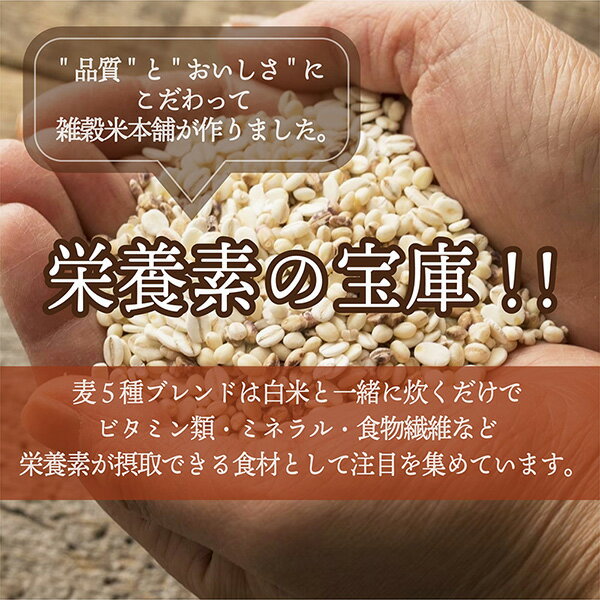 雑穀 雑穀米 国産 麦5種ブレンド 2.7kg(450g×6袋) [丸麦/押麦/はだか麦/もち麦/はと麦] 無添加 無着色 ファミリーサイズ 送料無料 ダイエット食品 置き換えダイエット