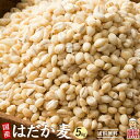 雑穀 雑穀米 国産 はだか麦 5kg(500g×10袋) 徳用サイズ 無添加 無着色 送料無料