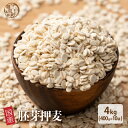 雑穀 雑穀米 国産 胚芽押麦 4kg(400g×10袋) 徳用サイズ 無添加 無着色 送料無料 ダイエット食品 置き換えダイエット