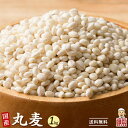 雑穀 雑穀米 国産 丸麦 1kg(500g×2袋) 定番サイズ 無添加