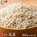 G G Y ۔ 900g(450g~2) [1kg] ԃTCY Y F    CGbgHi u CGbg