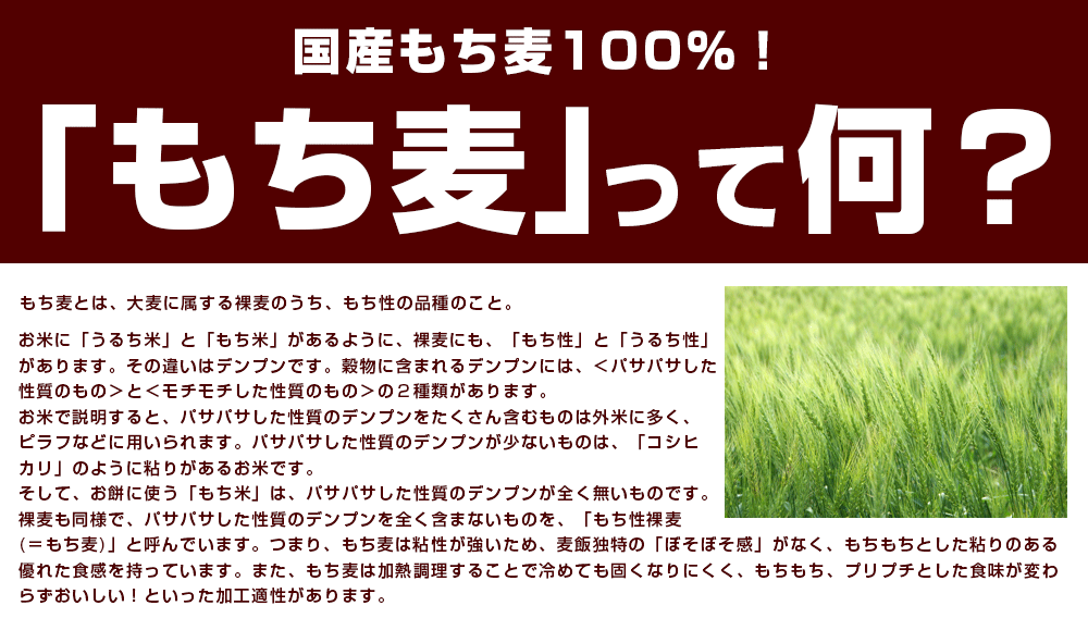 雑穀 雑穀米 国産 もち麦 4.5kg(450g×10袋) 徳用サイズ 無添加 無着色 送料無料 ダイシモチムギ ダイエット食品 置き換えダイエット